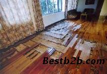 樟木頭專業(yè)消殺與消毒服務(wù) 守護(hù)家居健康的隱形衛(wèi)士